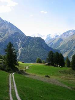 IMG_4436.JPG
